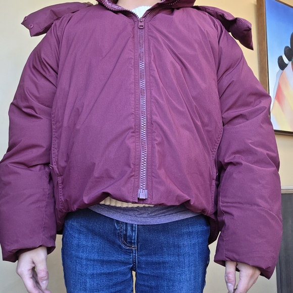 Uniqlo Jackets & Blazers - Uniqlo U padded short parka